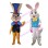 Adult Cartoon American Gentleman Bunny & Easter Bunny Mascot Costume 