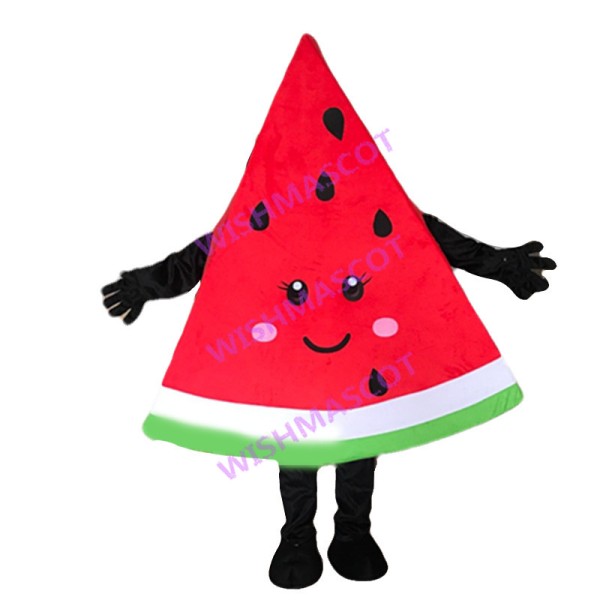 Cartoon Red Triangle Watermelon Mascot Adult Costume 
