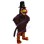Thanksgiving Pilgrim Turkey Mascot Costume 