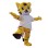 Lively Tiger Qiao Hu Mascot Costume 