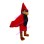 Fierce Cardinal Bird Mascot Costume 