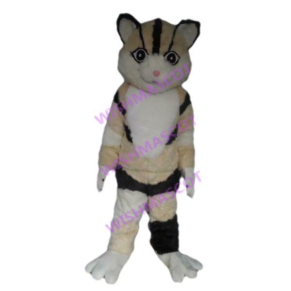 American Cat Mascot Costume 