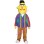 Serious Bert Mascot Costume 