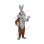 Cunning Wile E. Coyote Mascot Costume 