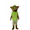 Cool Brown Bear In Green Mascot Costume 