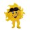 Smiling Sun Mascot Adult Costume 