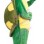 Crumpled Land Turtle Mascot Costume