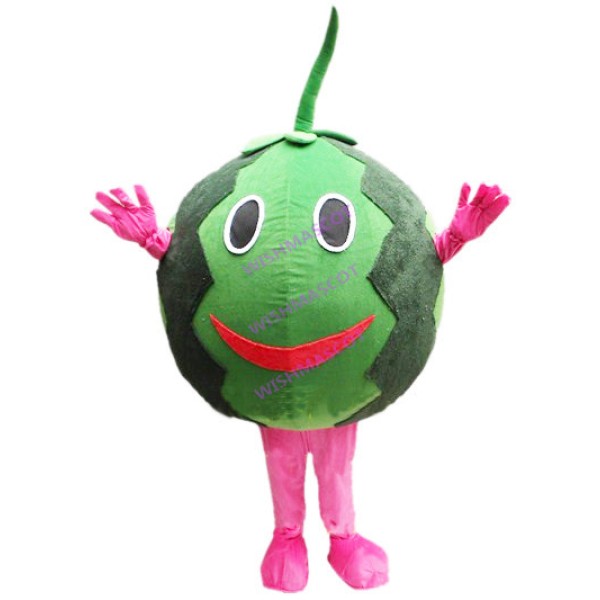 Adult Size Smiley Watermelon Mascot Costume