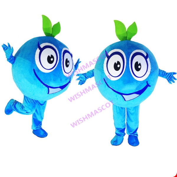 Lifesome Cartoon Blueberry Mascot Costume