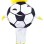 College Football Mascot Costume