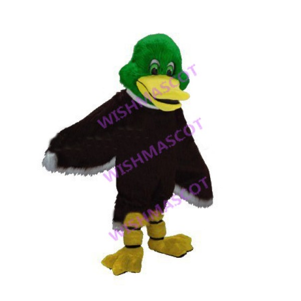 Flat-billed Green Head Eagle Mascot Costume