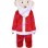 Professional Santa Claus Mascot Costume