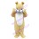Intimidating Bulldog Mascot Costume