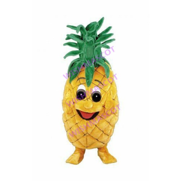 Complete Pineapple Mascot Costume
