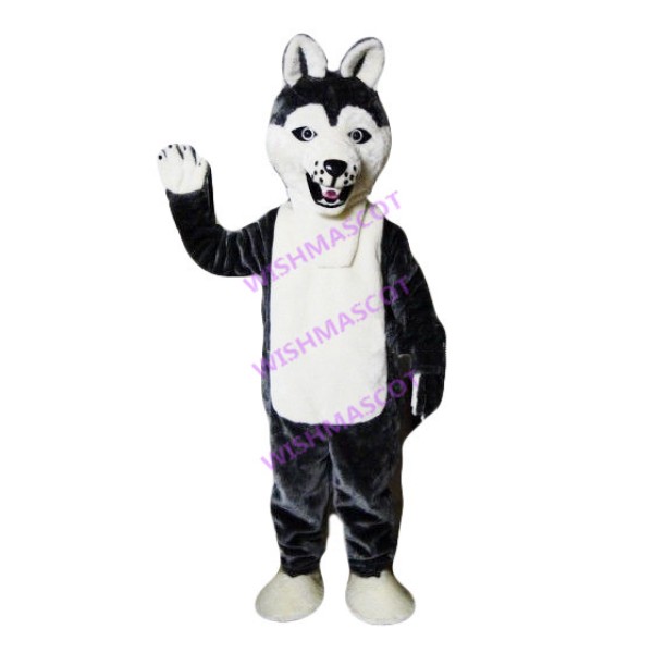 Cautiously Honest Husky Dog Mascot Costume