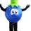 Large Blueberry Mascot Costume