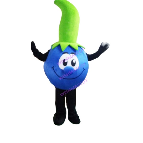 Large Blueberry Mascot Costume