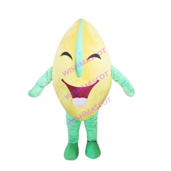 Smiley Nut Mascot Costume