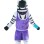 Inspirational Zebra Mascot Costume