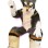 Powerful Shaggy Wild Wolf Mascot Costume