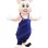 Bachelor Pig Brother Mascot Costume