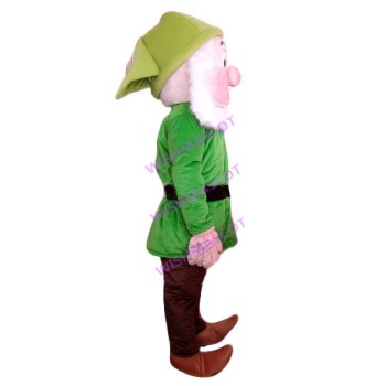 Kindly Green Dwarf Mascot Costume