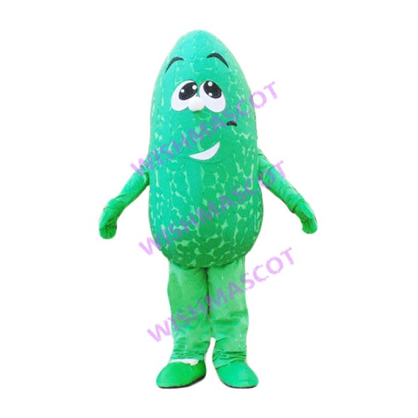 Bitter Gourd Mascot Costume For Hotel Promotion