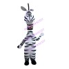 Walking Stupid Zebra Mascot Costume