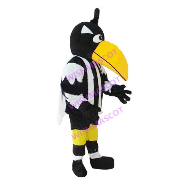 Black Woodpecker With Cloak Mascot Costume