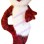 Random Long-haired Fox Mascot Costume