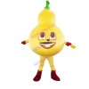 Yellow Tender Gourd Mascot Costume