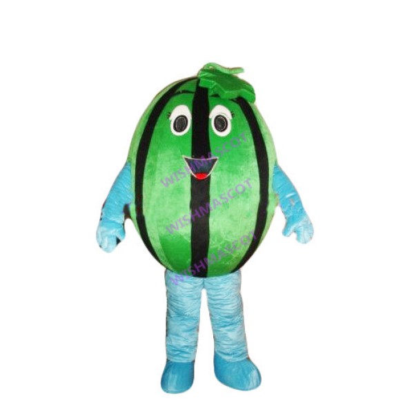 Oval Watermelon With Vine Mascot Costume