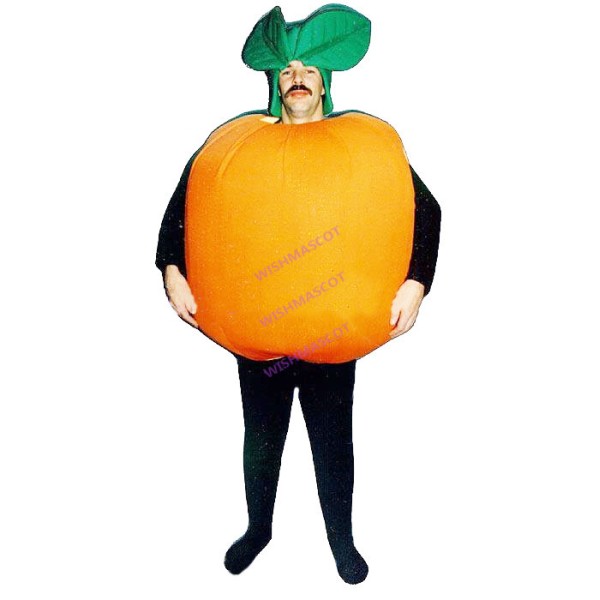 Plump Orange Mascot Costume