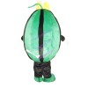 Watermelon With Yellow Bow Mascot Costume