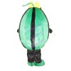 Watermelon With Yellow Bow Mascot Costume