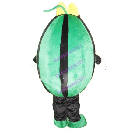 Watermelon With Yellow Bow Mascot Costume