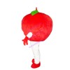 Ripe Plump Red Apple Mascot Costume