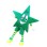 Lightweight Green Cartoon Star Mascot Costume