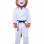 Trained Taekwondo Lion Mascot Costume