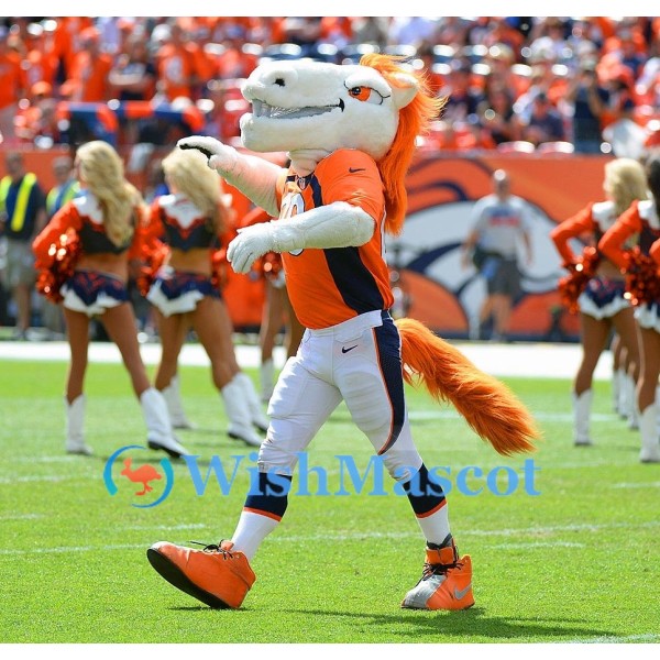 ‌Denver Broncos Mascot
