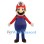 Super Mario Mascot Costume