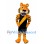 Tiger Mascot Costume