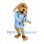Doctor Dog Mascot Costume