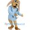 Doctor Dog Mascot Costume