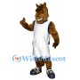 Athletic Horse Mascot Costume