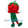 ‌Tomato Mascot Costume