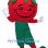 ‌Tomato Mascot Costume