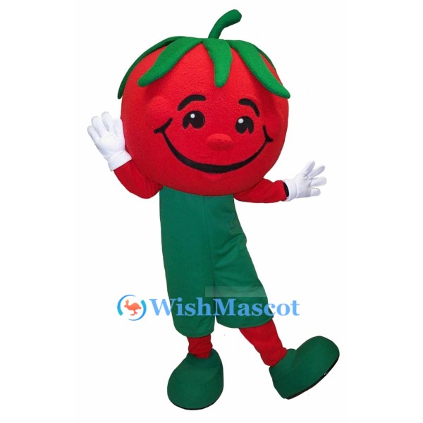 ‌Tomato Mascot Costume