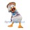 Ethnic ‌Donald Duck Mascot Costume