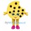 Cookie Mascot Costume